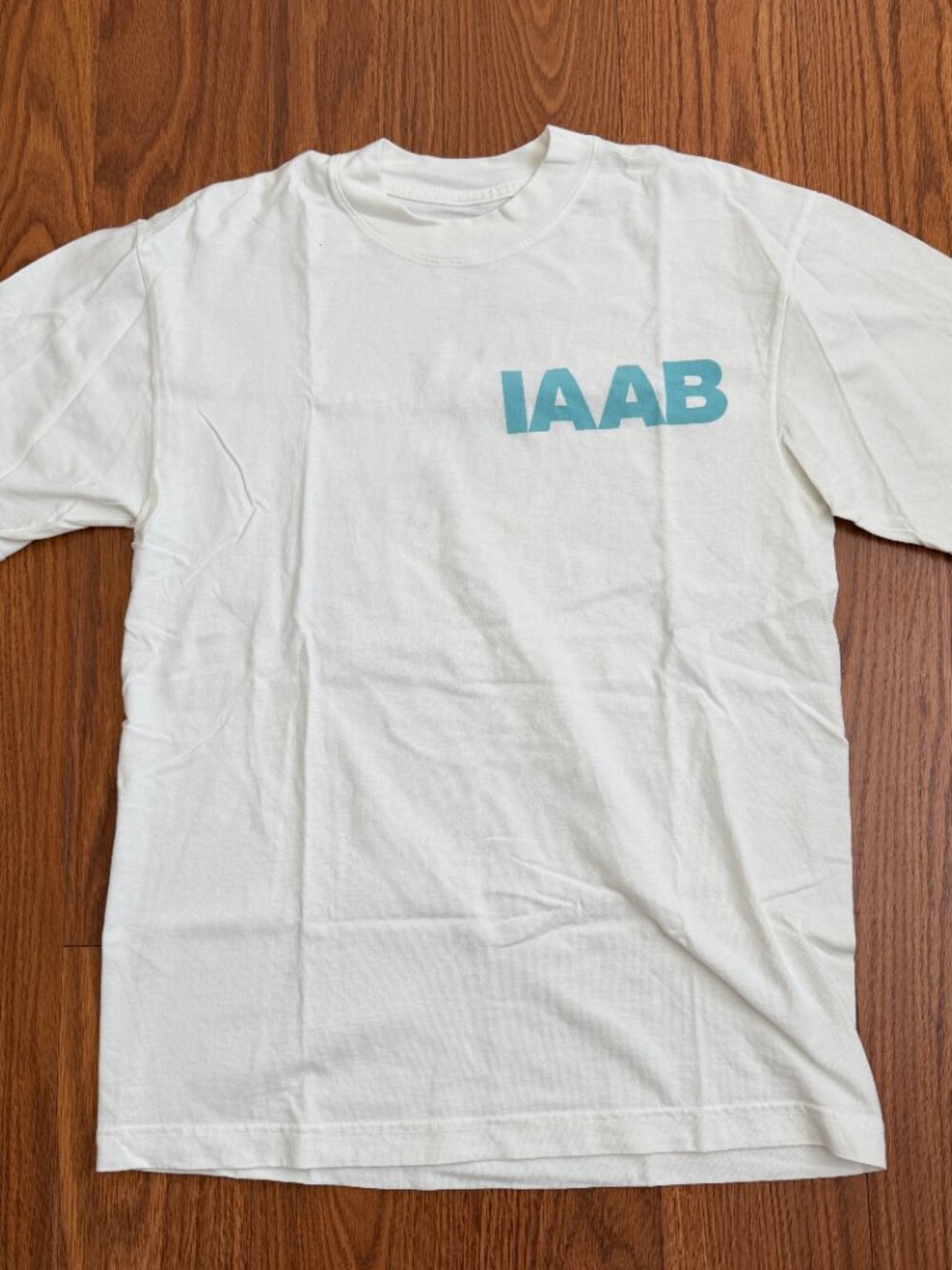 Drake IAAB Tour Shirt